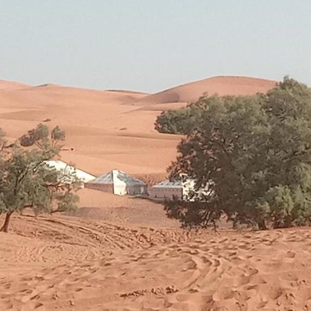 Bivouac Camel Trips Hotel Merzouga Luaran gambar