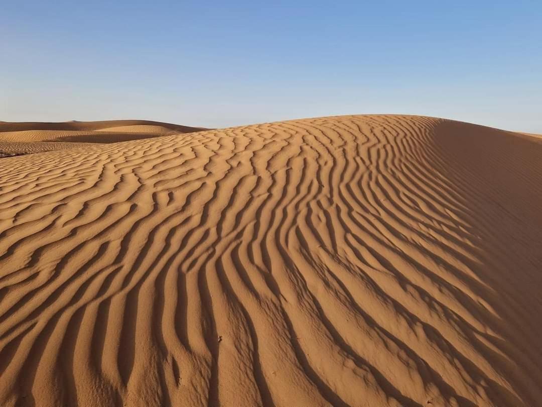 Bivouac Camel Trips Hotel Merzouga Luaran gambar