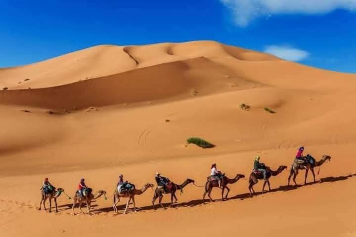Bivouac Camel Trips Hotel Merzouga Luaran gambar