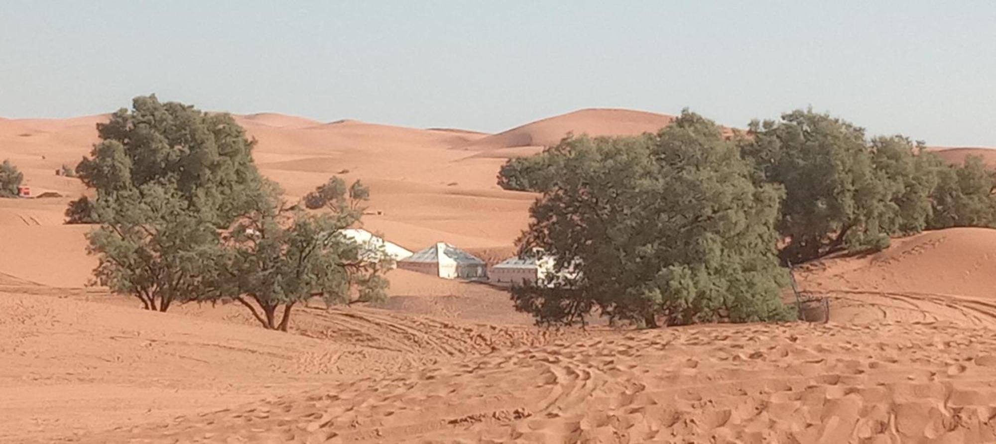 Bivouac Camel Trips Hotel Merzouga Luaran gambar