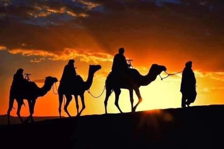 Bivouac Camel Trips Hotel Merzouga Luaran gambar