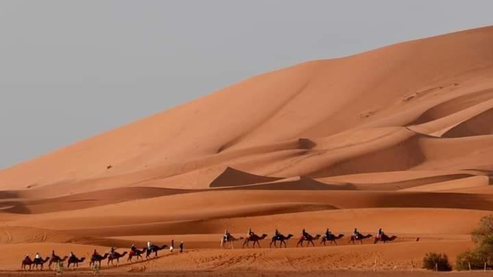 Bivouac Camel Trips Hotel Merzouga Luaran gambar
