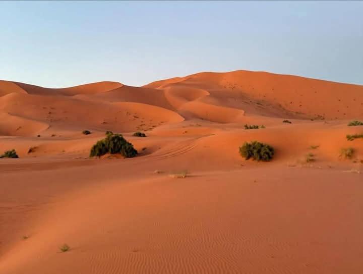 Bivouac Camel Trips Hotel Merzouga Luaran gambar