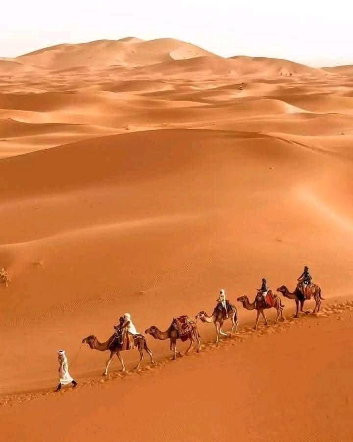 Bivouac Camel Trips Hotel Merzouga Luaran gambar