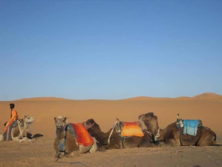 Bivouac Camel Trips Hotel Merzouga Luaran gambar