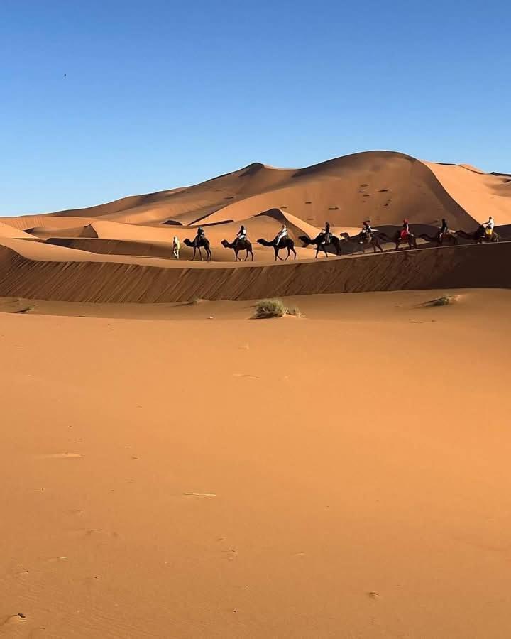 Bivouac Camel Trips Hotel Merzouga Luaran gambar